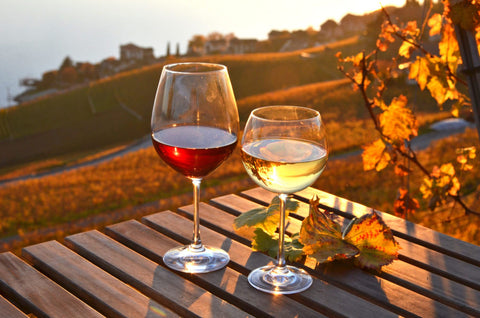 Glass of red and white wine on wooden table with autumn leaves in background