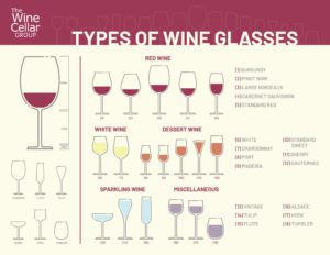 Wine Glass Shapes: The Best Glasses by Type